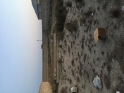 Satılır 8 sot torpaq Hövsan