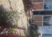 Satılır 2 otaqlı 65 m2 həyət evi Hökməli