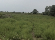 Satılır 10 sot torpaq Kürdəmir