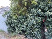 Satılır 1.5 sot torpaq Əhmədli