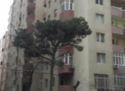 Satılır 1 otaqlı 38 m2 yeni tikili Xırdalan