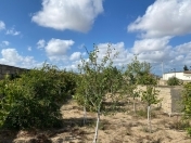 Satılır 12 sot torpaq Şüvəlan