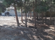 Satılır 3 sot torpaq Kürdəxanı