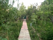 Satılır 6 sot torpaq Səbail r.