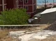 Satılır 8 sot torpaq Badamdar