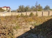 Satılır 10 sot torpaq Novxanı