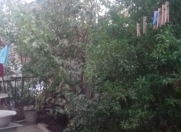 Satılır 2 otaqlı 46 m2 həyət evi Hökməli