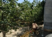 Satılır 5 otaqlı 160 m2 həyət evi Hövsan