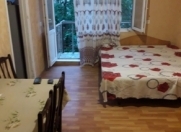 İcarəyə verilir 1 otaqlı 30 m2 köhnə tikili Koala parkı