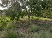 Satılır 10 sot torpaq Mehdiabad