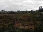 Satılır 25 sot torpaq Qusar