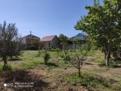 Satılır 10 sot torpaq Saray