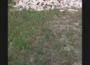 Satılır 1 otaqlı 30 m2 həyət evi Kürdəxanı