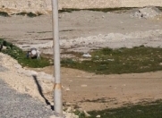 Satılır 1 sot torpaq Məhəmmədli