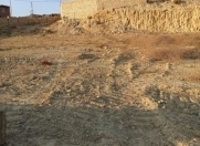 Satılır 4 sot torpaq Badamdar