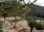 Satılır 2 sot torpaq Maştağa