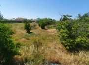 Satılır 24 sot torpaq Maştağa