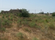 Satılır 25 sot torpaq Maştağa