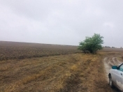 Satılır 1700 sot torpaq Qusar