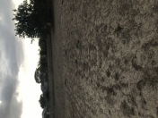 Satılır 8 sot torpaq Albalı