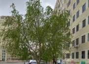 Satılır 1 otaqlı 41 m2 köhnə tikili Qara Qarayev m.