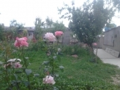 Satılır 2 sot torpaq Naxçıvan