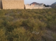 Satılır 1 sot torpaq Buzovna