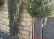 Satılır 6 sot torpaq Ayna Sultanova heykəli