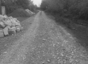 Satılır 12 sot torpaq Qəbələ