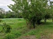 Satılır 30 sot torpaq Bərdə