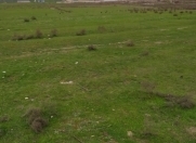 Satılır 2 sot torpaq Məhəmmədli