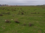 Satılır 3 sot torpaq Məhəmmədli