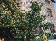 Satılır 6 otaqlı 300 m2 həyət evi Sulutəpə