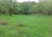 Satılır 84 sot torpaq Qəbələ