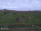 Satılır 95 sot torpaq Novxanı