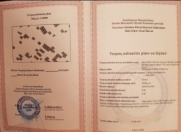 Satılır 6 sot torpaq Maştağa