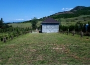 Satılır 250 sot torpaq İsmayıllı