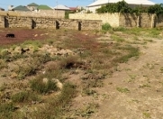 Satılır 6 sot torpaq Digah