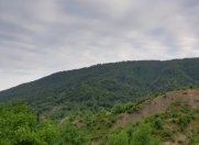 Satılır 8 sot torpaq İsmayıllı