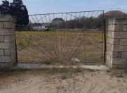 Satılır 12 sot torpaq Xaşaxuna