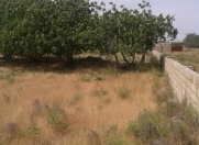 Satılır 24 sot torpaq Kürdəxanı