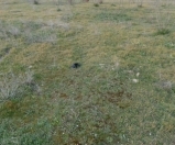 Satılır 11 sot torpaq Mehdiabad