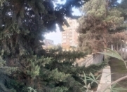 Satılır 60 sot torpaq Məhəmmədli