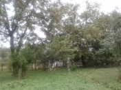 Satılır 7 otaqlı 200 m2 həyət evi İsmayıllı