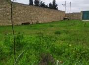 Satılır 4 sot torpaq Qala