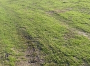 Satılır 6 sot torpaq Abşeron r.