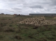 Satılır 10 sot torpaq Məhəmmədli