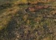 Satılır 12 sot torpaq Neftçala