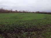 Satılır 150 sot torpaq Kürdəxanı