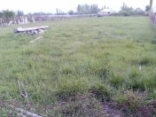 Satılır 10 sot torpaq Xaçmaz